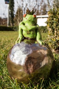 20140207-IMG_2197-005