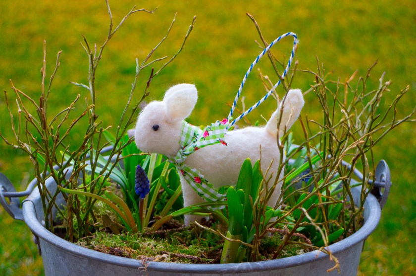 20140302-IMG_2240-015