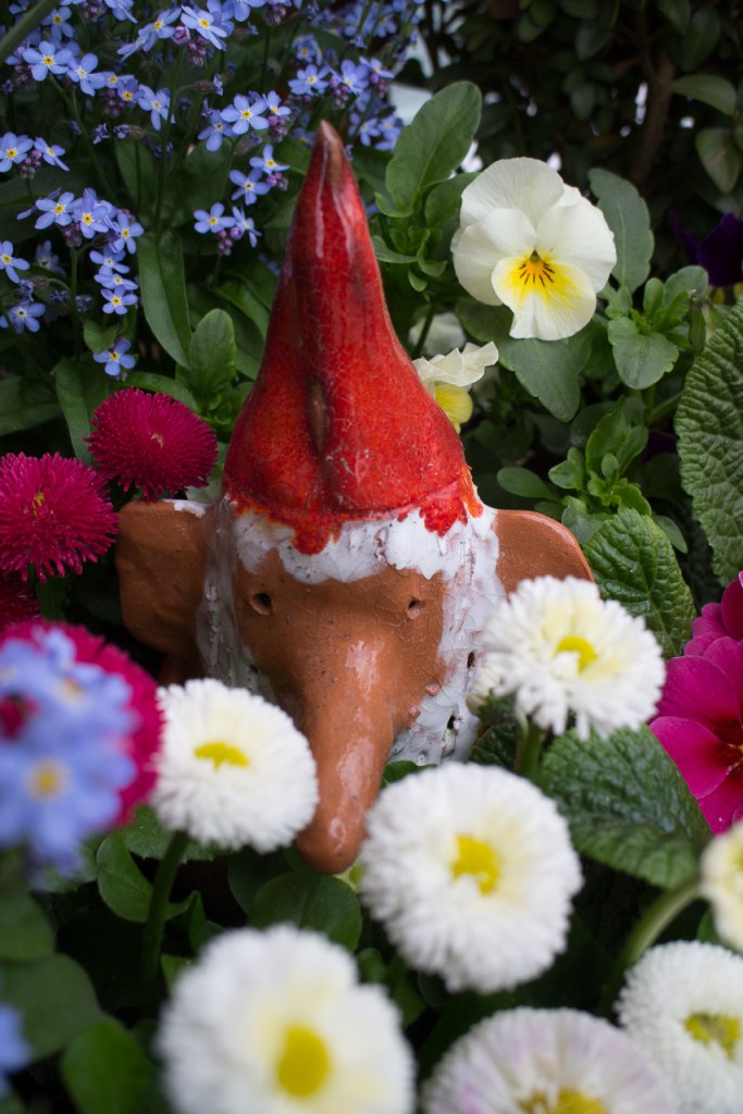 20140414-IMG_2968-002