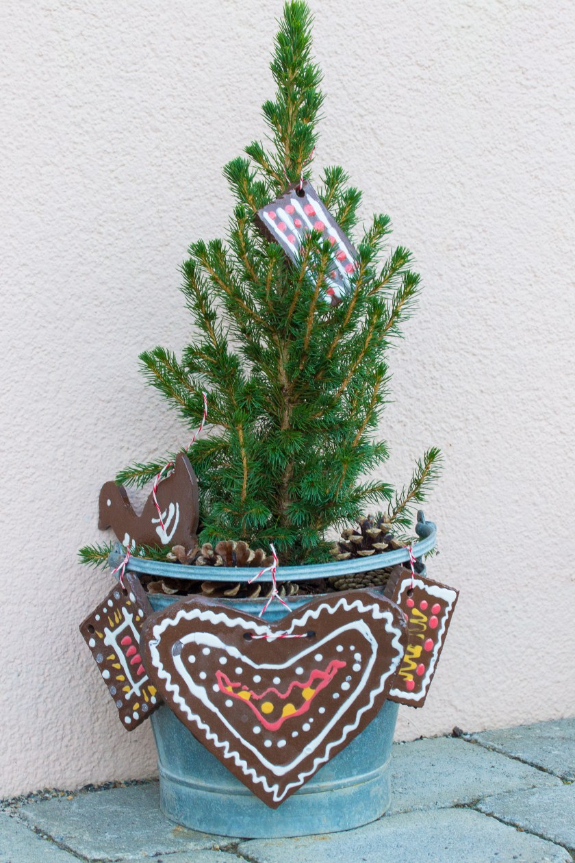 20161113-img_5514-001