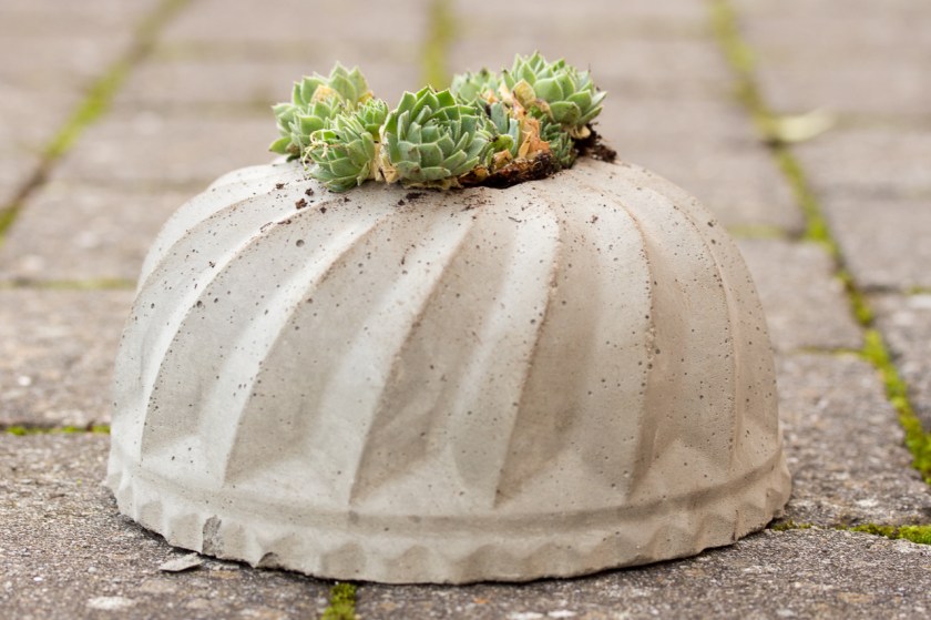 20161120-img_5521-007