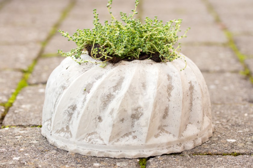 20161120-img_5523-008