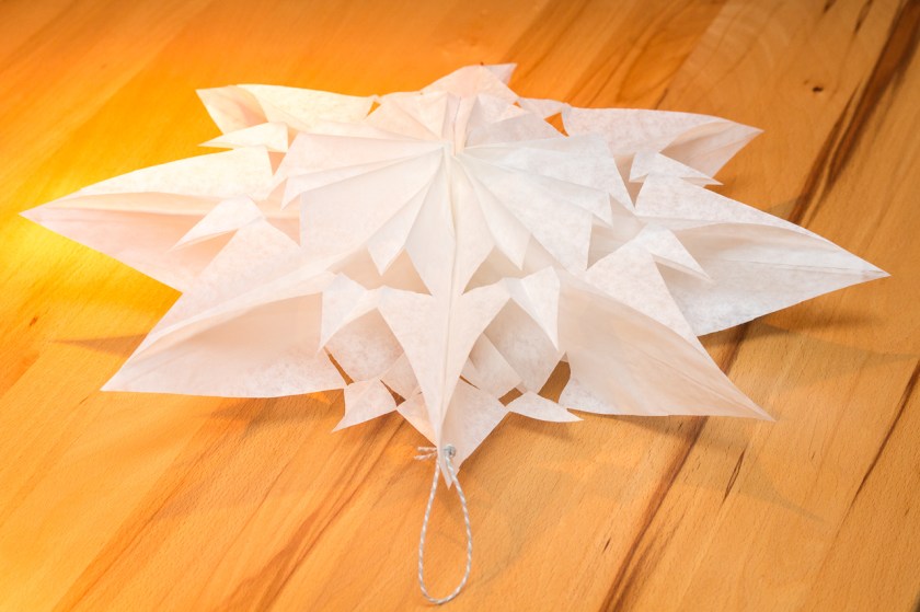 20161123-img_5610-010