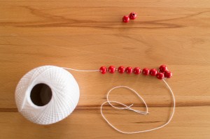 20161202-img_5711-006