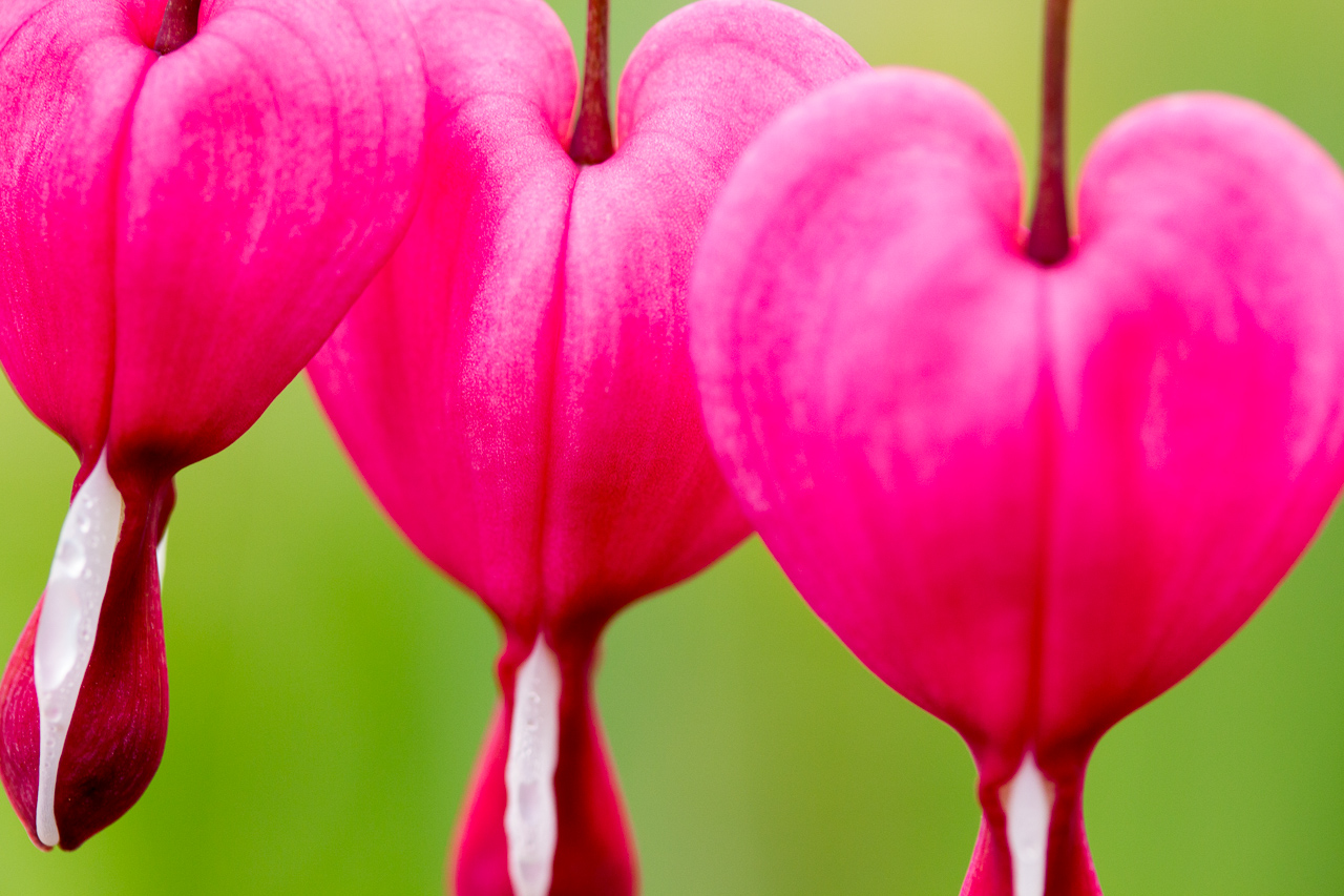 20170415-IMG_5932-010