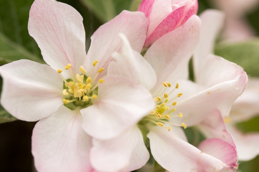 20170415-IMG_5940-017