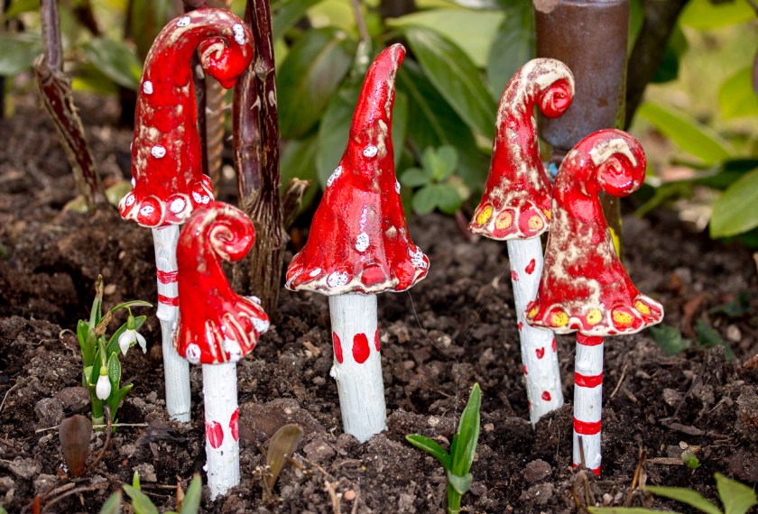 20170226-IMG_5804-002