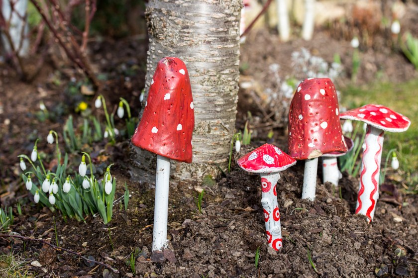 20170226-IMG_5812-005