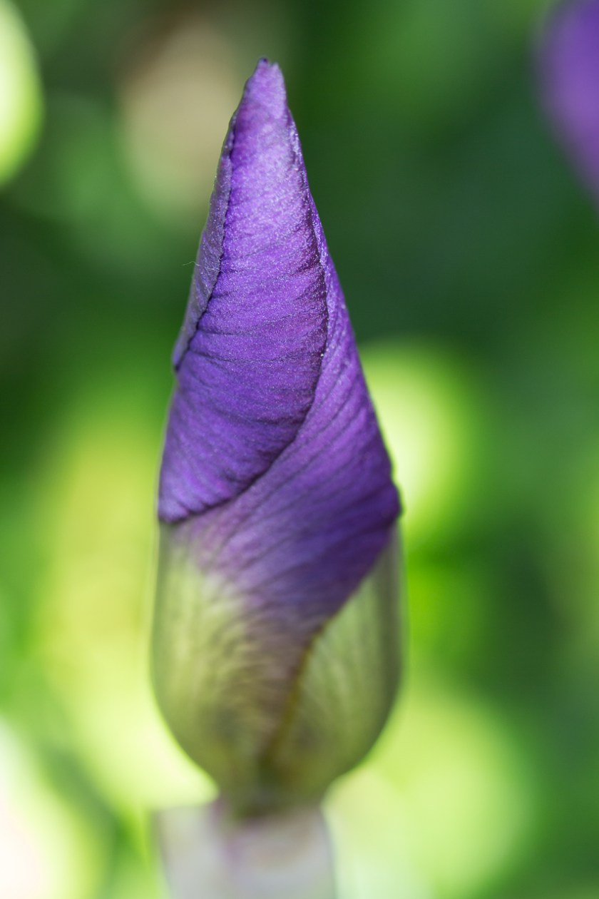 20170525-IMG_6026-001