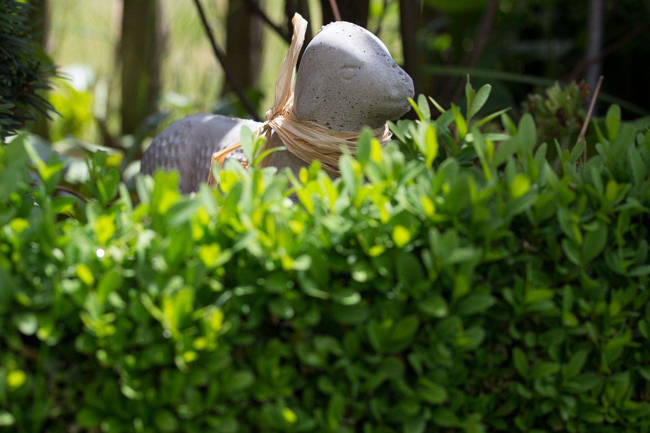 20170525-IMG_6074-001