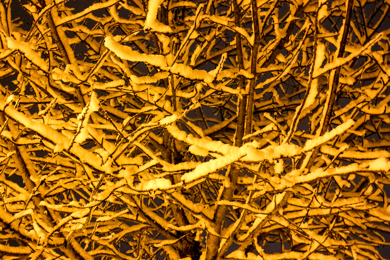 20180120-IMG_6238-004