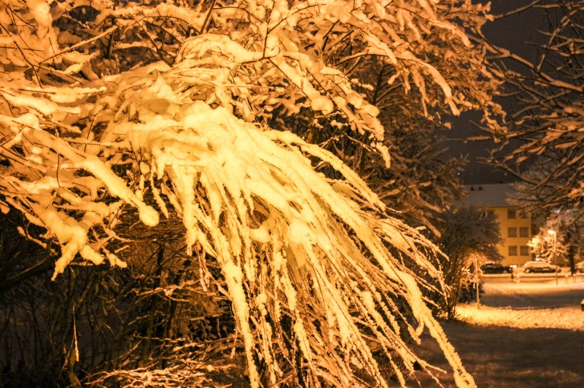 20180120-IMG_6241-007