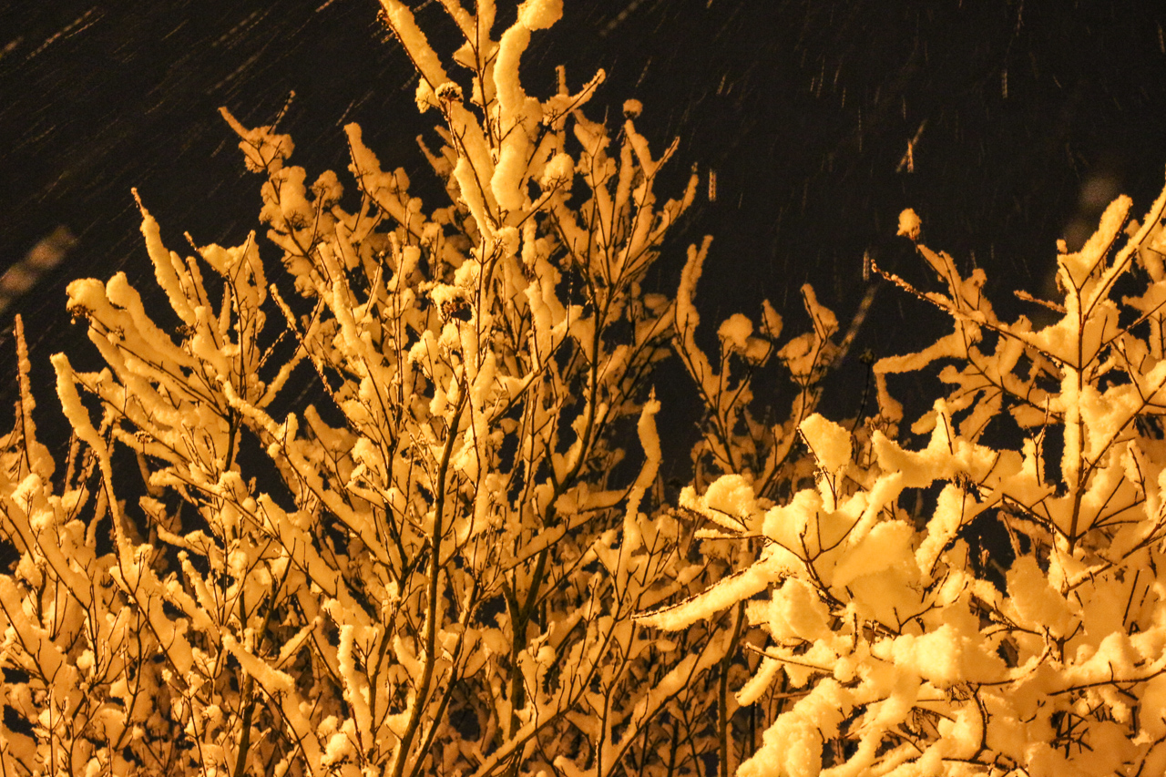 20180120-IMG_6242-008